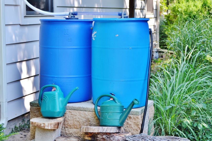 How to Keep Your Rain Barrel Fresh and Clean